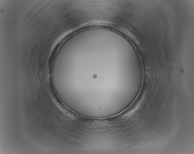 X0000072980981200608211345