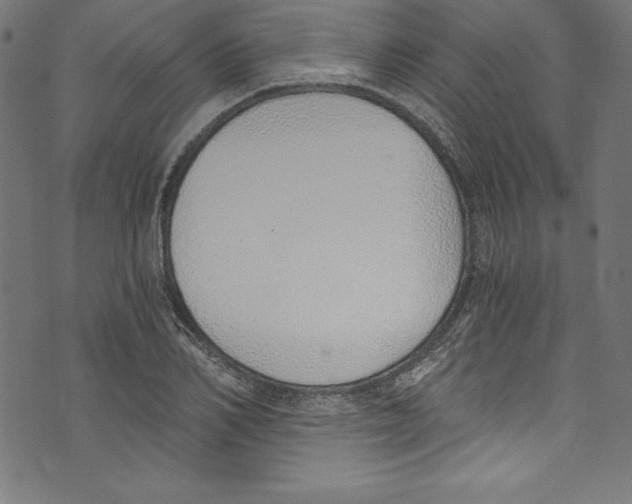 X0000072980982200608211345