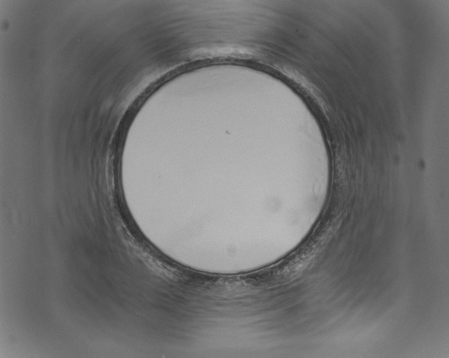 X0000072980983200608211345