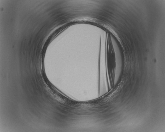 X0000072980984200608211345