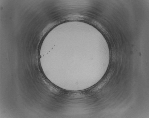 X0000072980986200608211345