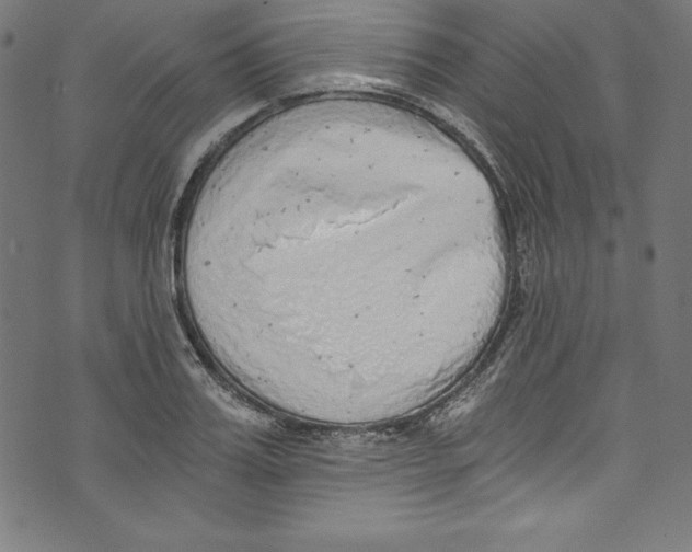 X0000072980987200608211345