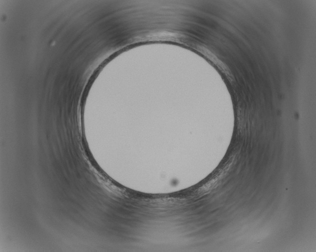 X0000072980988200608211345