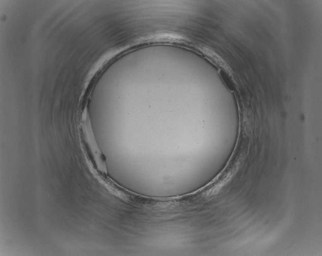 X0000072980989200608211345