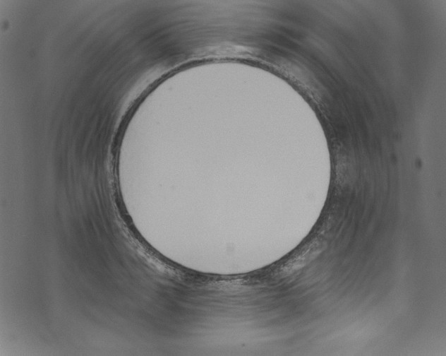 X0000072980990200608211345