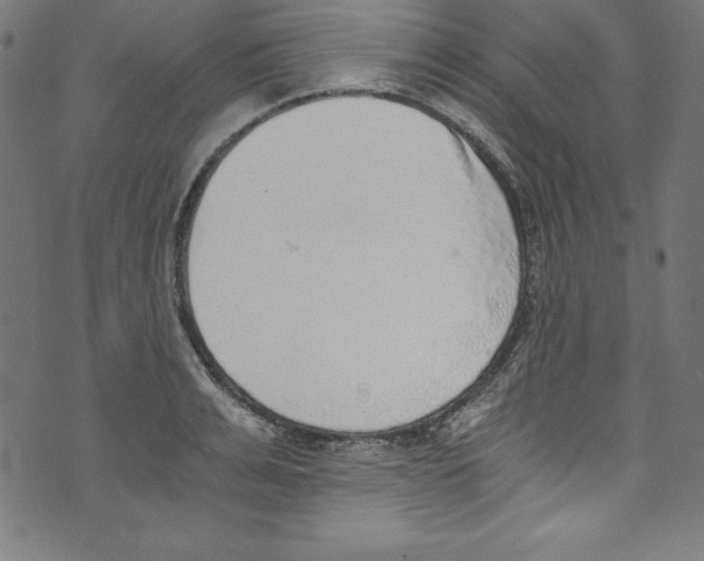 X0000072980991200608211345