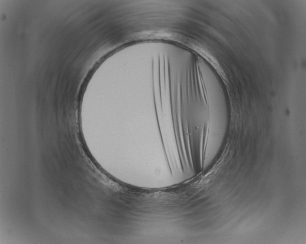 X0000072980992200608211345