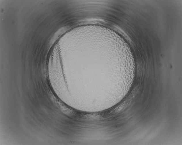 X0000072980994200608211345