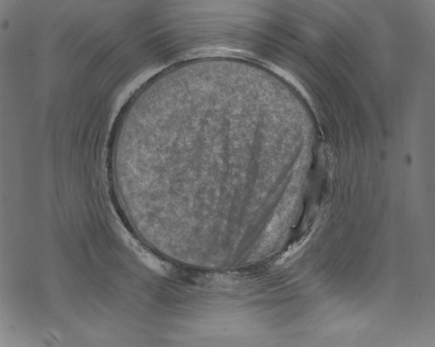 X0000072980995200608211345