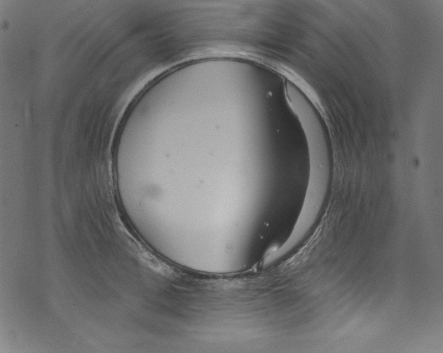 X0000072980996200608211345