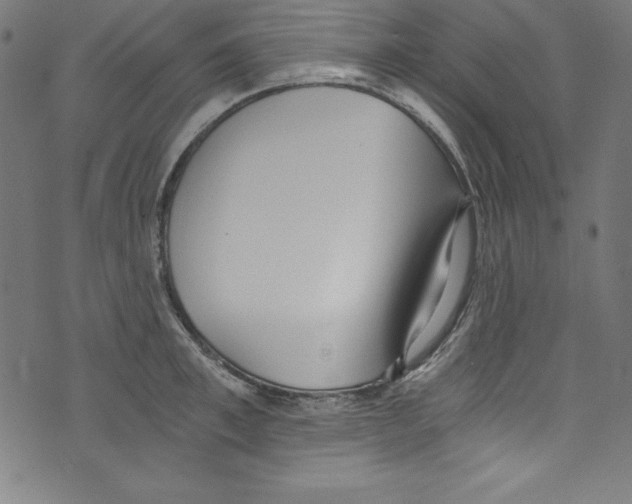 X0000072980997200608211345