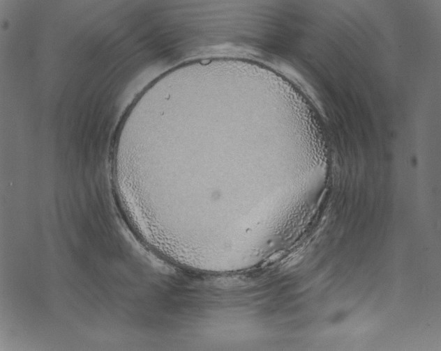 X0000072980998200608211345