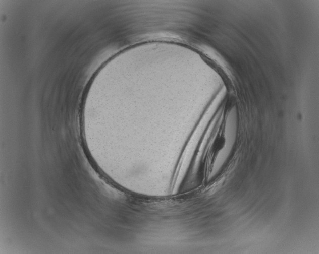 X0000072980999200608211345