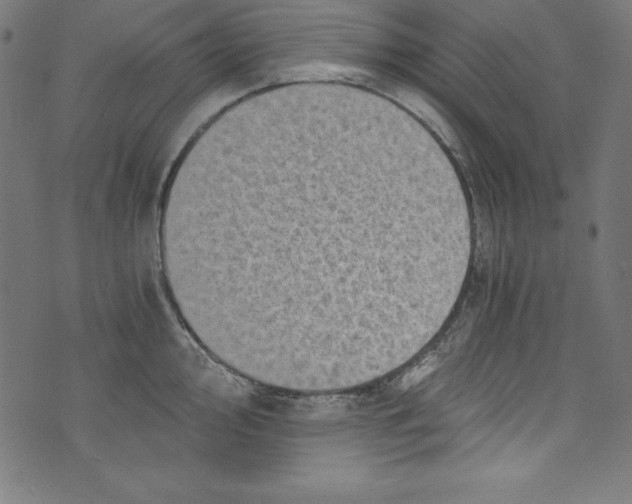 X0000072981000200608211345