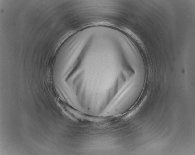 X0000072981001200608211345