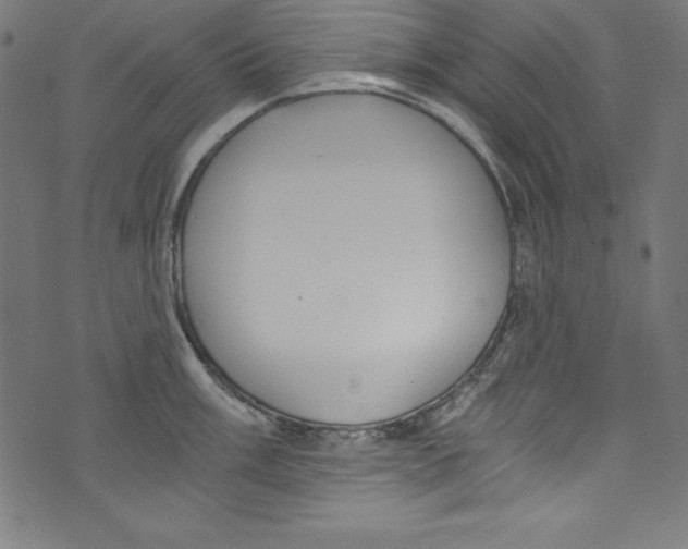 X0000072981003200608211345