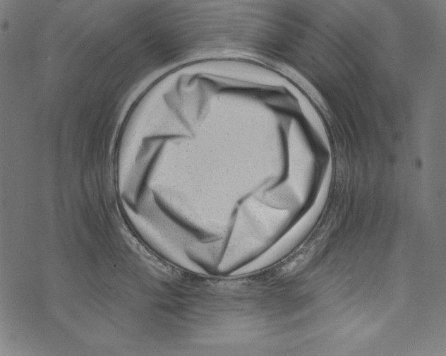 X0000072981004200608211345