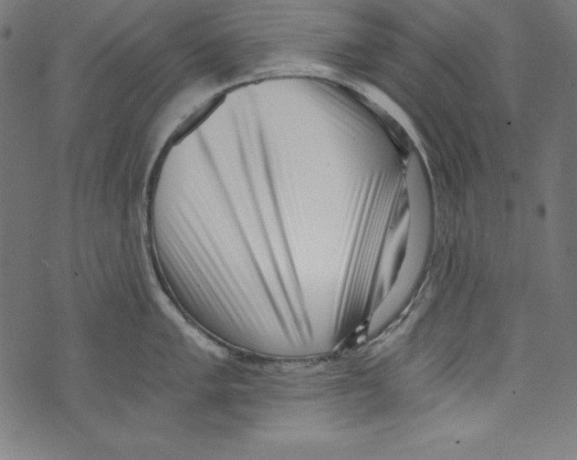 X0000072981005200608211345