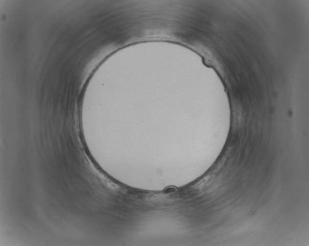 X0000072981006200608211345