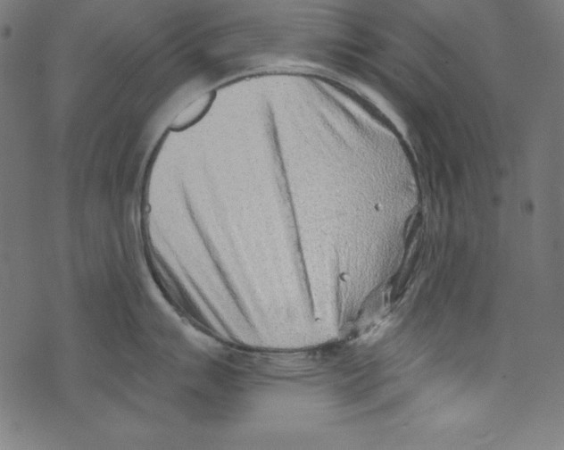 X0000072981007200608211345