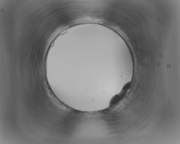 X0000072981008200608211345