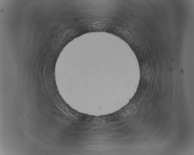 X0000072981009200608211344