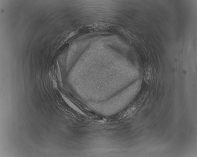 X0000072981010200608211344