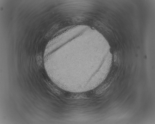 X0000072981011200608211344