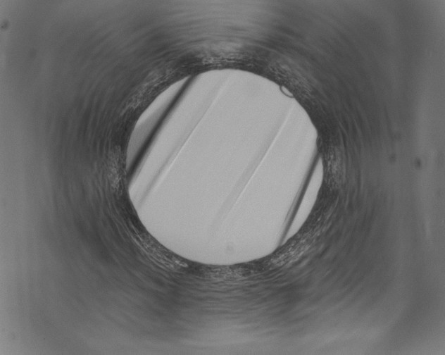 X0000072981012200608211344