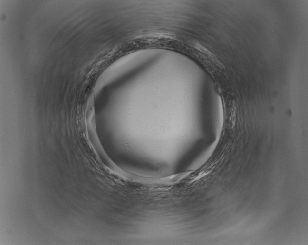 X0000072981014200608211344