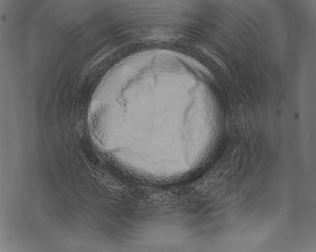 X0000072981015200608211344