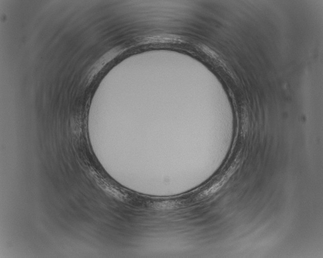 X0000072981017200608211344