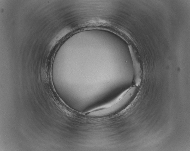 X0000072981018200608211344