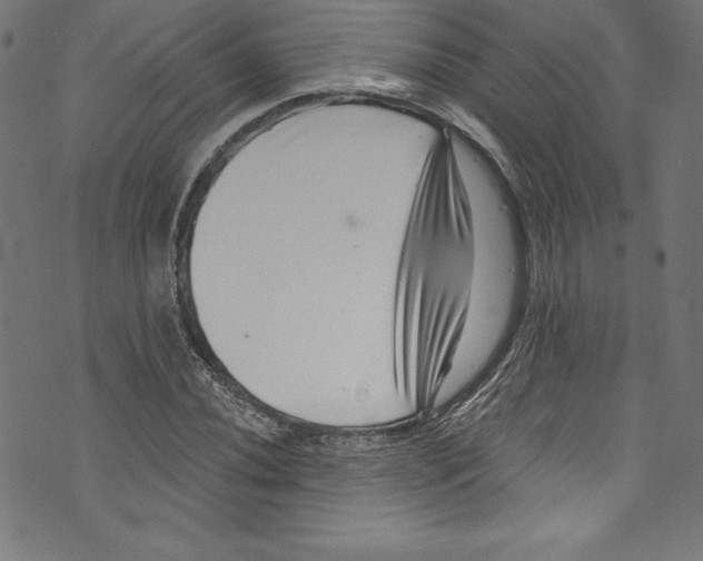 X0000072981020200608211344