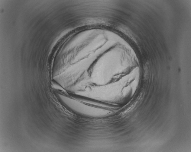 X0000072981021200608211344