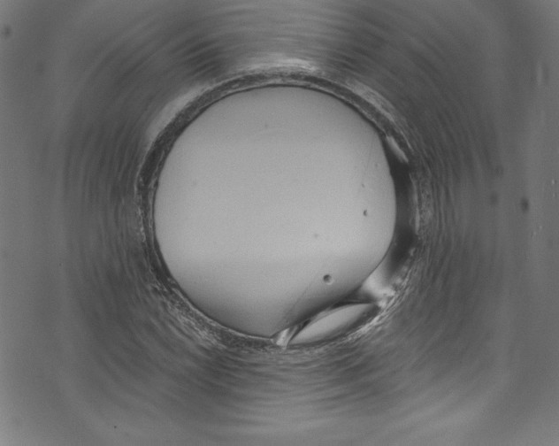 X0000072981022200608211344