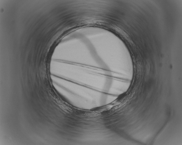 X0000072981023200608211344