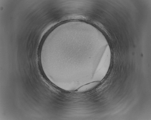 X0000072981024200608211344