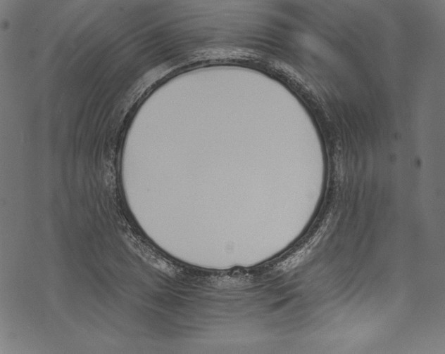 X0000072981025200608211344