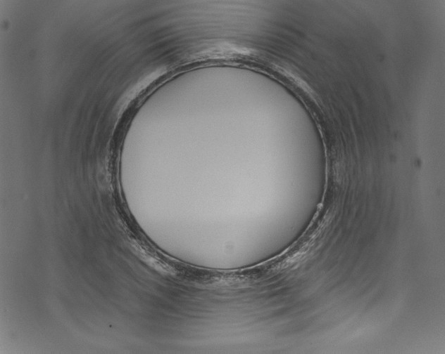 X0000072981026200608211344