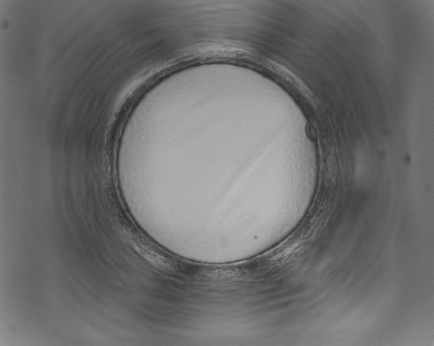 X0000072981027200608211344