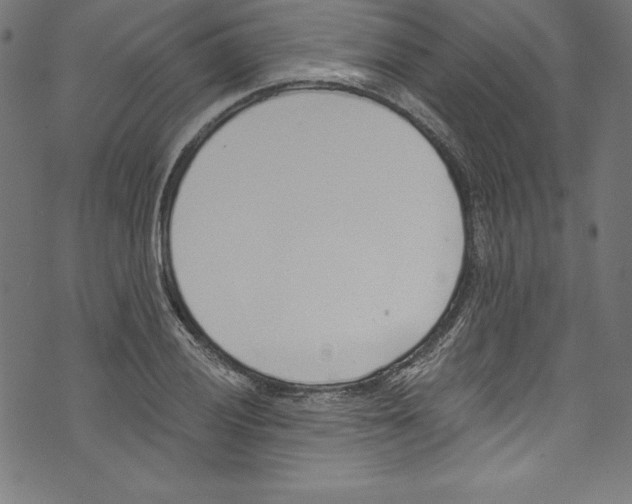 X0000072981028200608211344