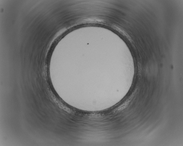 X0000072981029200608211344