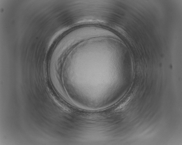 X0000072981030200608211344