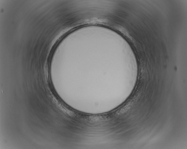 X0000072981032200608211344