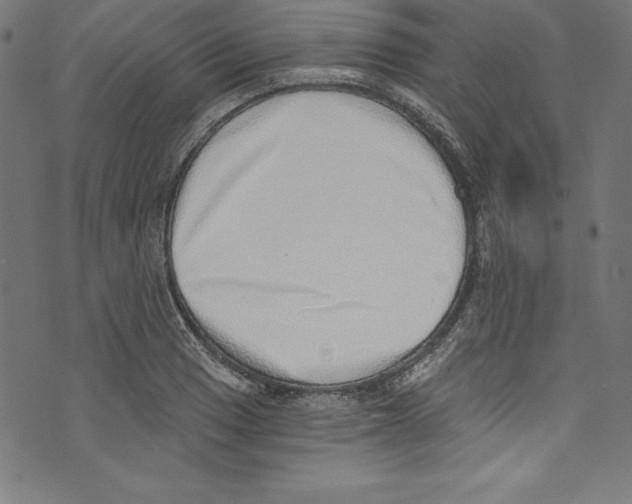 X0000072981033200608211344