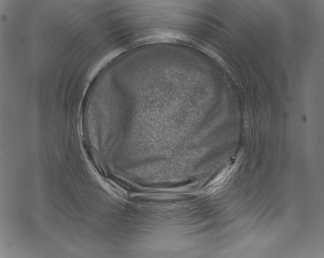 X0000072981034200608211344