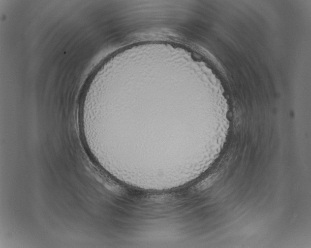 X0000072981035200608211344