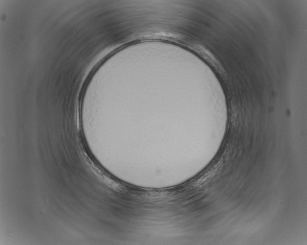 X0000072981036200608211344