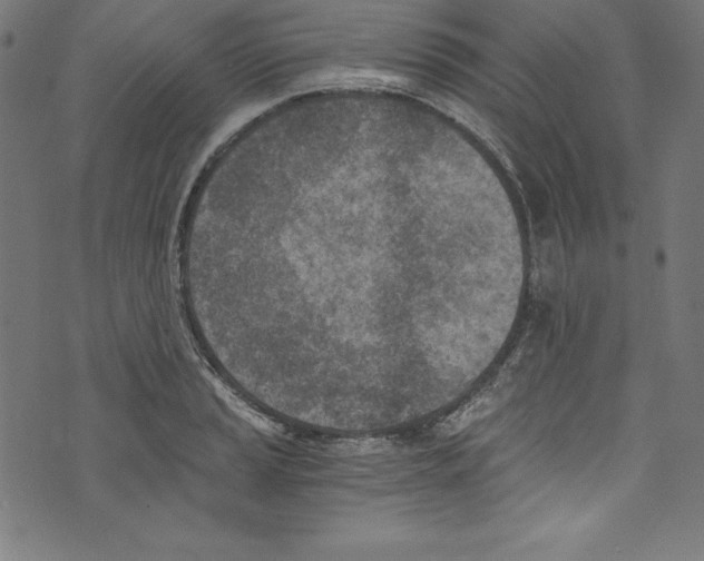 X0000072981037200608211344